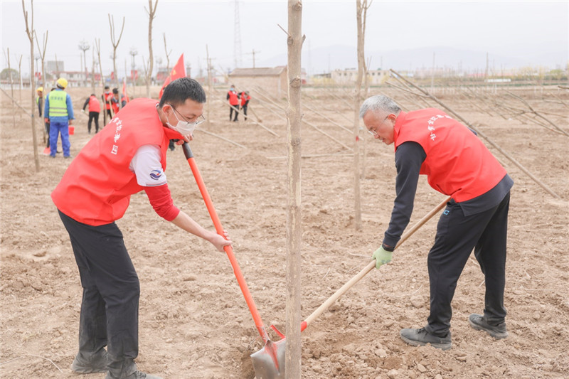 202004201587345230212189.jpg 9ab7b9f9-cf0b-47e8-a942-7f7d798b67f4.jpg